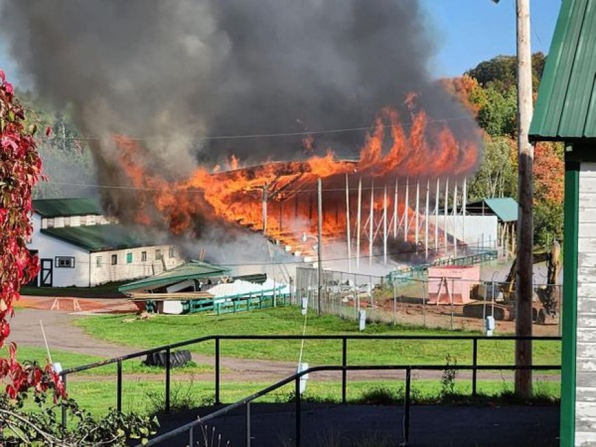 Photos: Fire destroys grandstands at Mich. fairground
