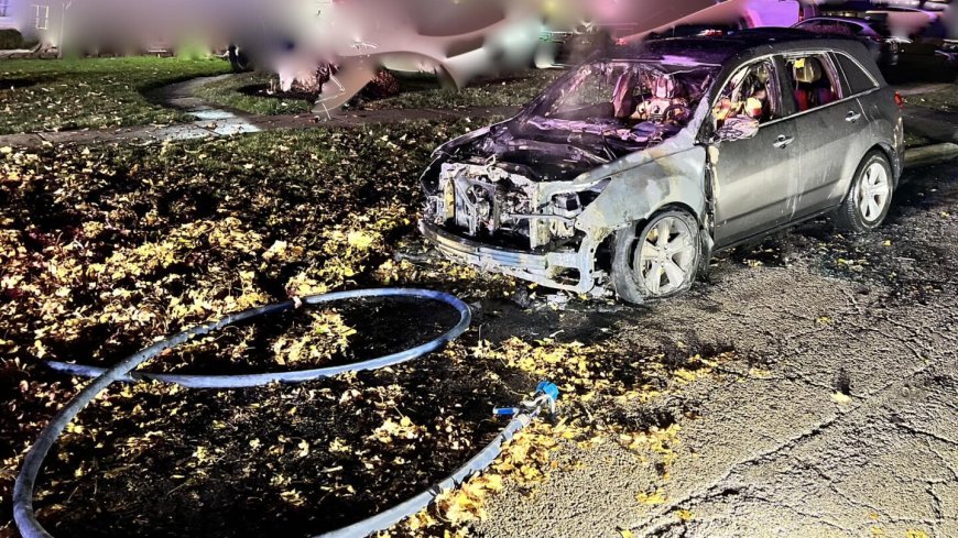 SUV bursts into flames after driver parks it on pile of leaves