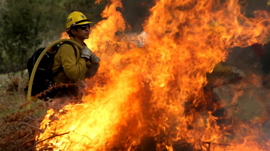 Weather, proactive measures ease 2023 Calif. fire season